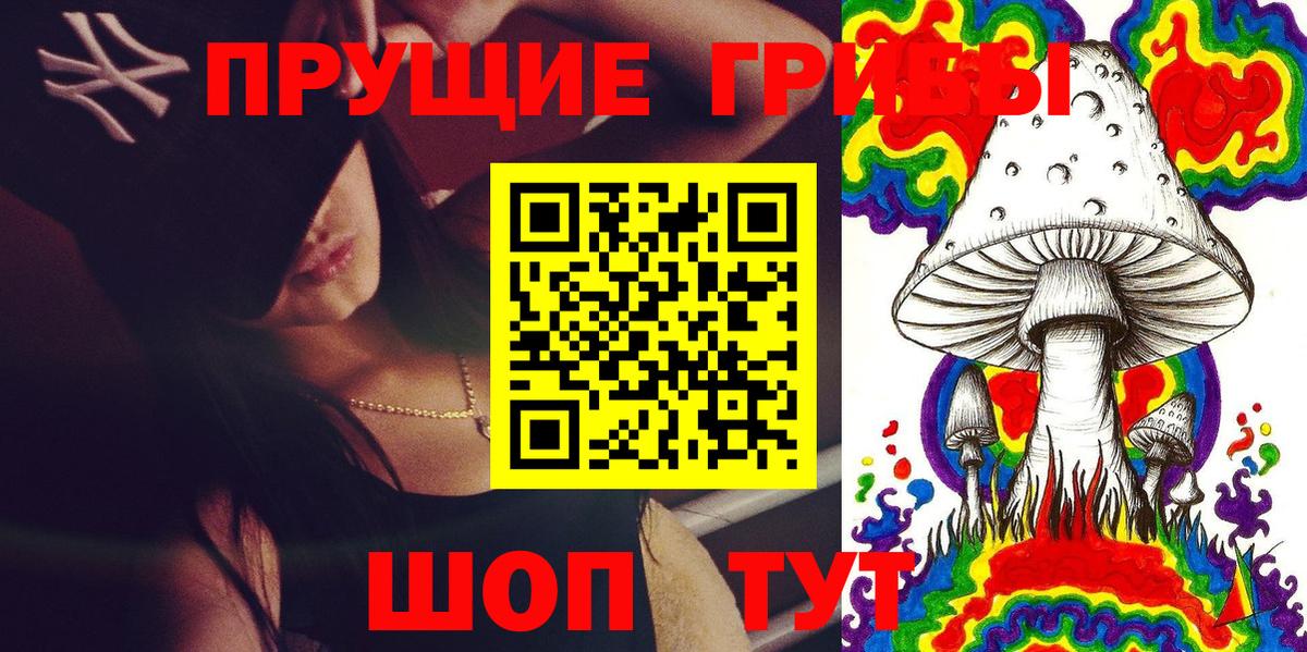 Псилоцибиновые грибы Cubensis  Вход с VPN  Казань 