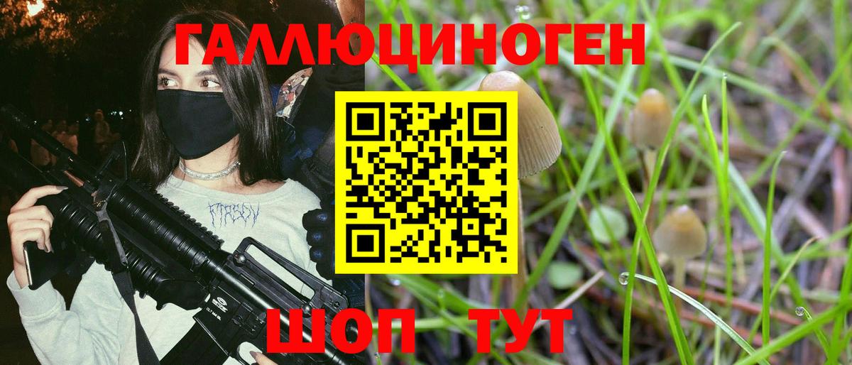 Галлюциногенные грибы MAGIC MUSHROOMS Казань