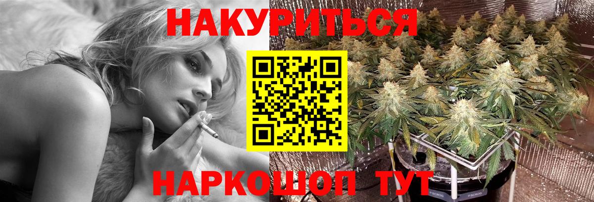Бошки Шишки планчик  Шишки марихуана план  Казань  Вход с VPN  Марихуана AK-47 